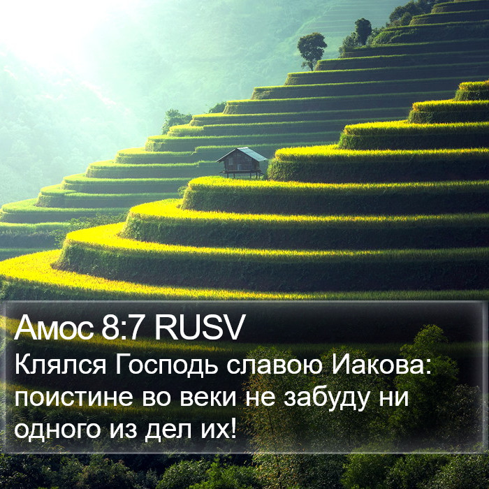 Амос 8:7 RUSV Bible Study