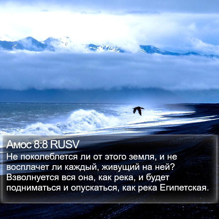 Амос 8:8 RUSV Bible Study