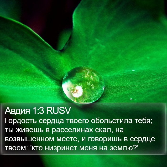 Авдия 1:3 RUSV Bible Study