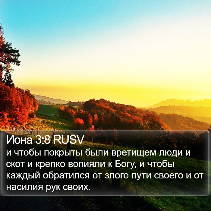 Иона 3:8 RUSV Bible Study