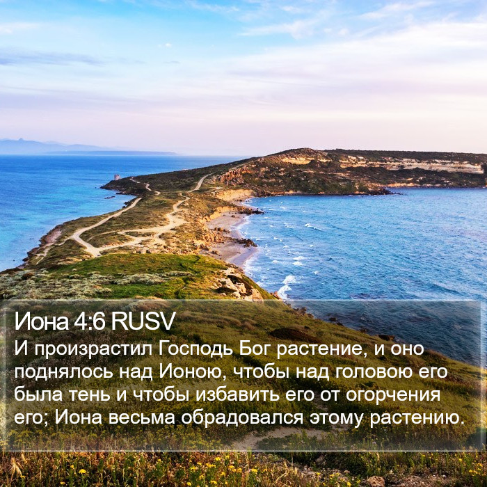 Иона 4:6 RUSV Bible Study