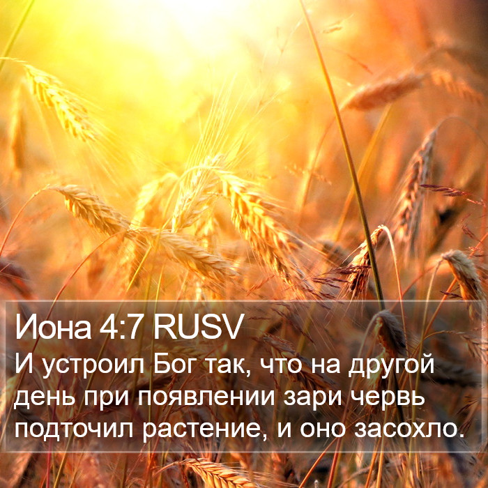 Иона 4:7 RUSV Bible Study