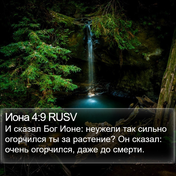 Иона 4:9 RUSV Bible Study