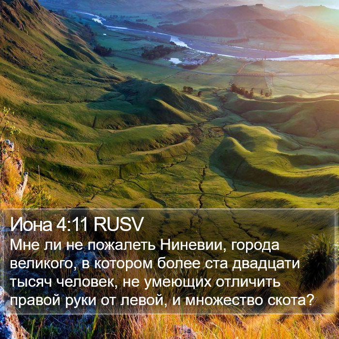 Иона 4:11 RUSV Bible Study