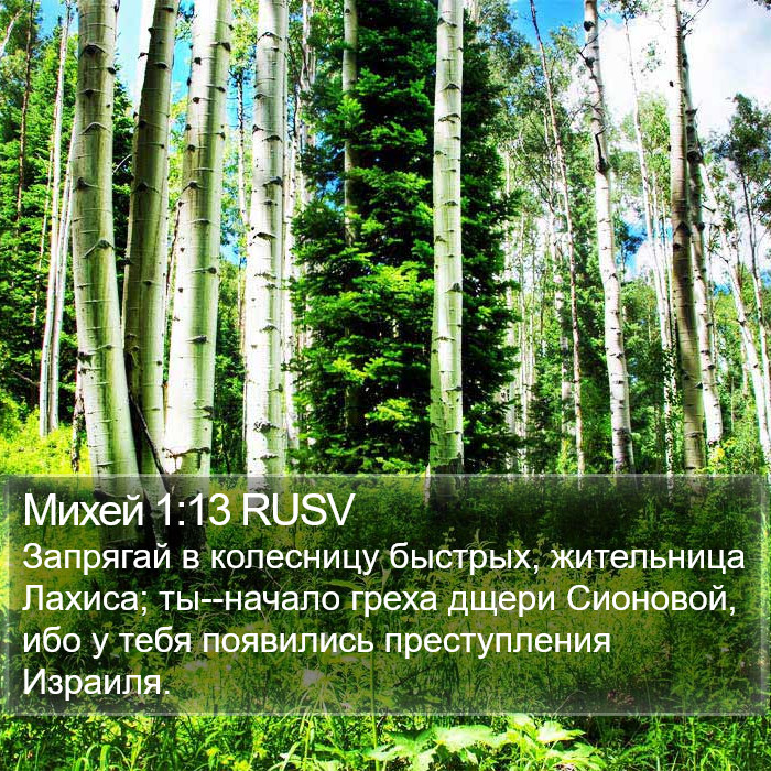 Михей 1:13 RUSV Bible Study