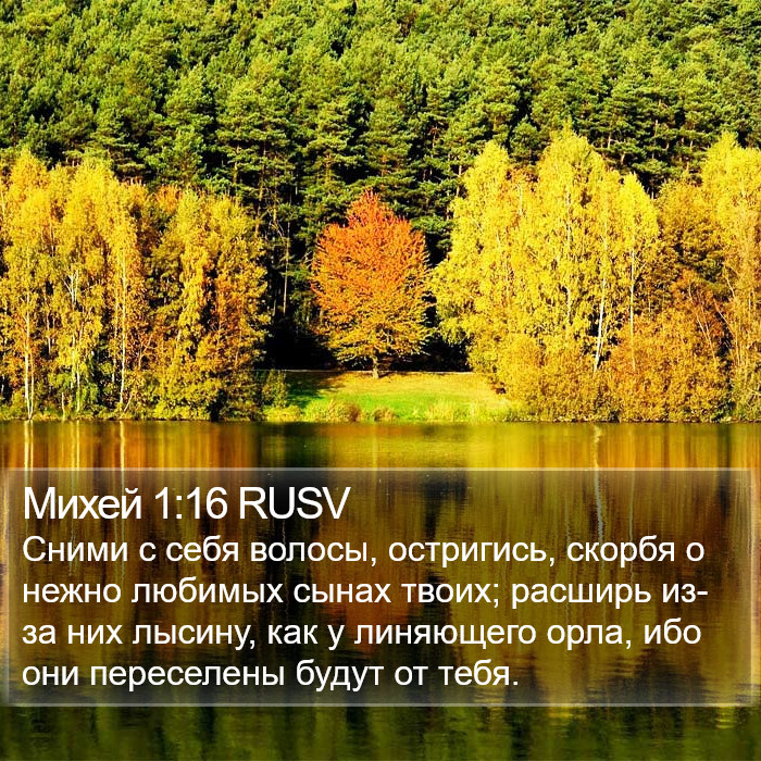 Михей 1:16 RUSV Bible Study