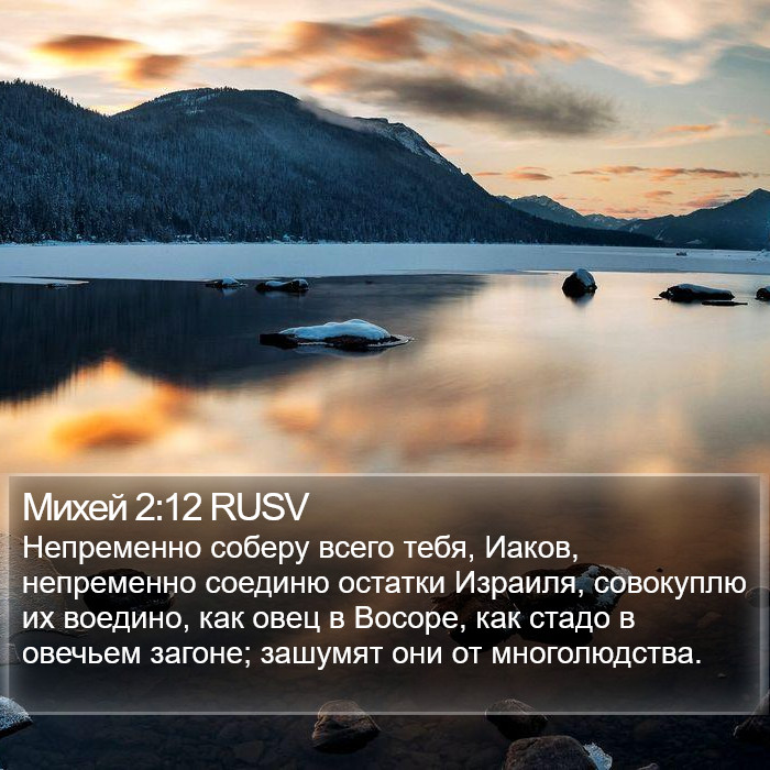 Михей 2:12 RUSV Bible Study