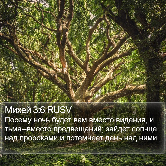 Михей 3:6 RUSV Bible Study