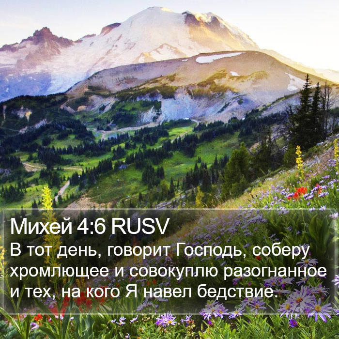 Михей 4:6 RUSV Bible Study