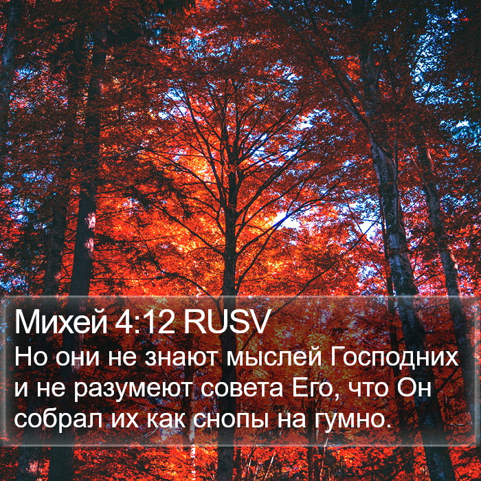 Михей 4:12 RUSV Bible Study