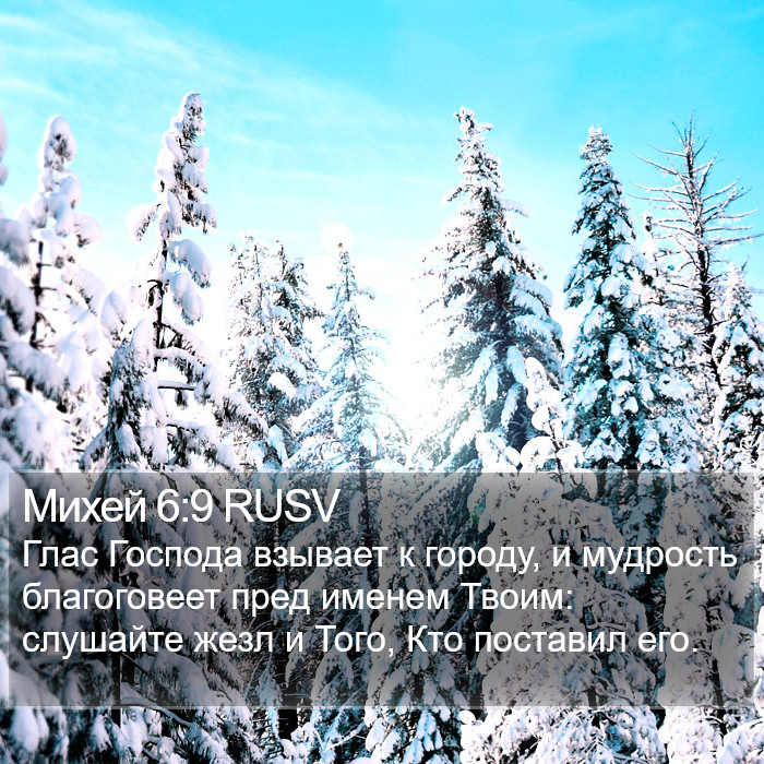 Михей 6:9 RUSV Bible Study