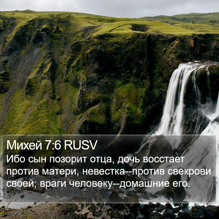 Михей 7:6 RUSV Bible Study