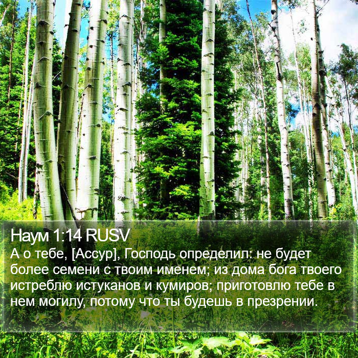 Наум 1:14 RUSV Bible Study