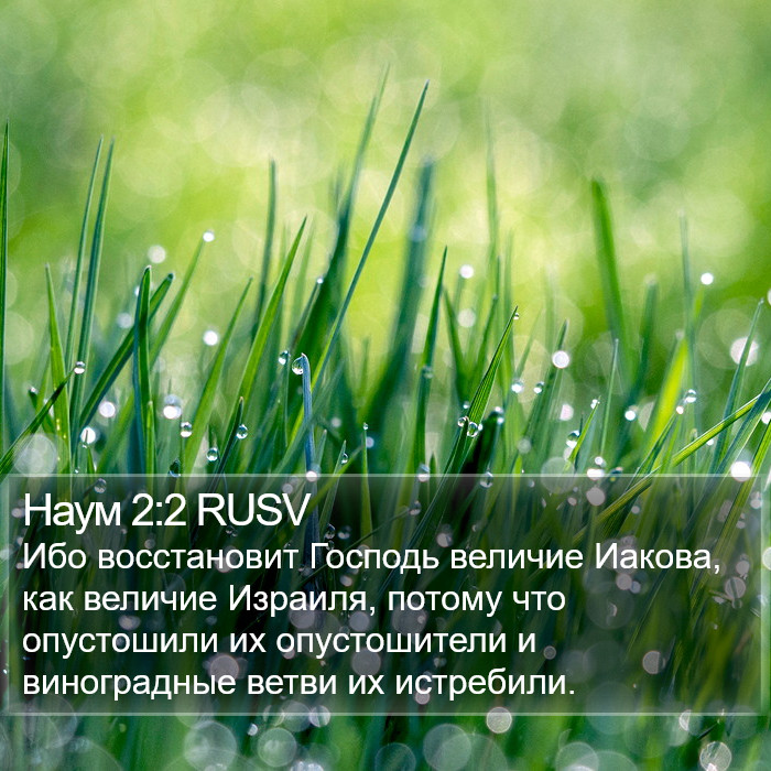 Наум 2:2 RUSV Bible Study