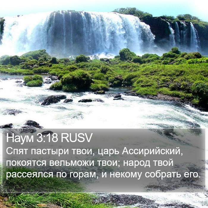 Наум 3:18 RUSV Bible Study