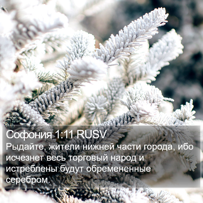 Софония 1:11 RUSV Bible Study