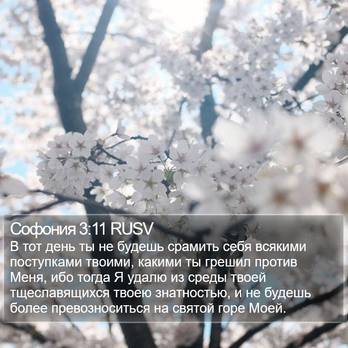Софония 3:11 RUSV Bible Study