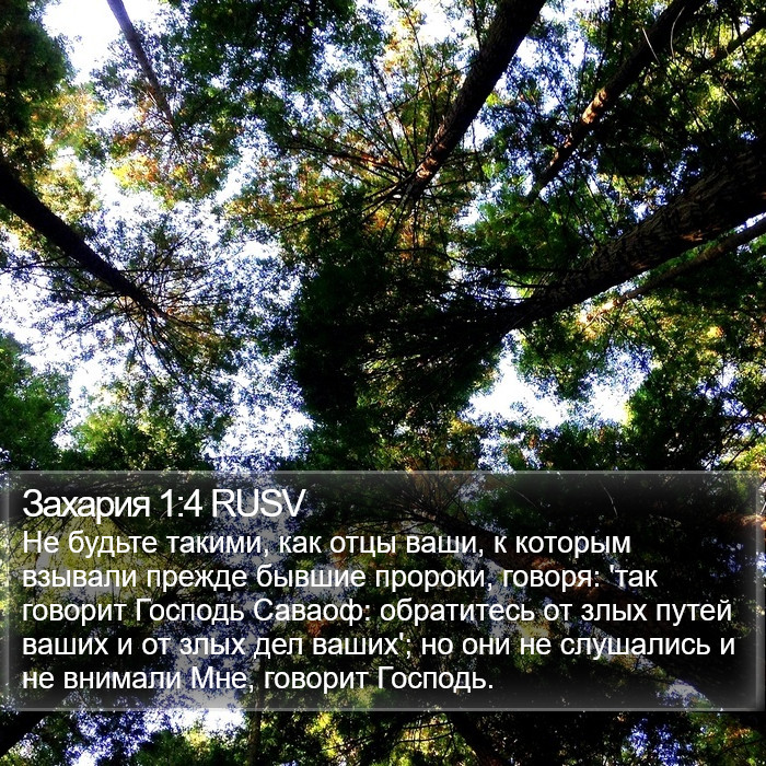 Захария 1:4 RUSV Bible Study