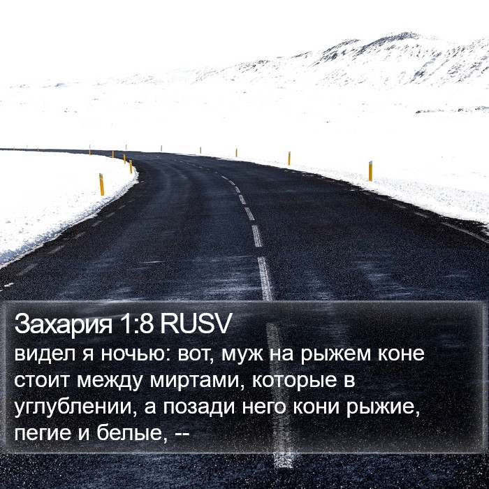 Захария 1:8 RUSV Bible Study