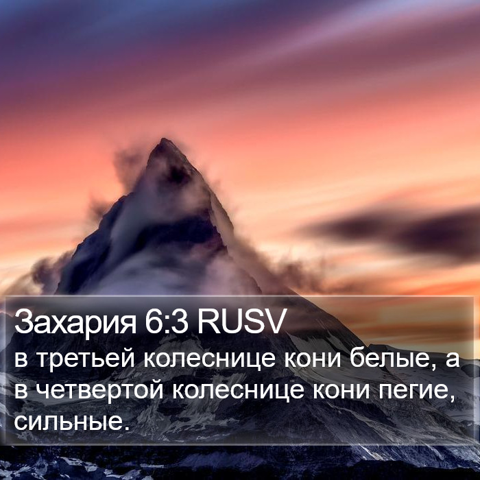 Захария 6:3 RUSV Bible Study