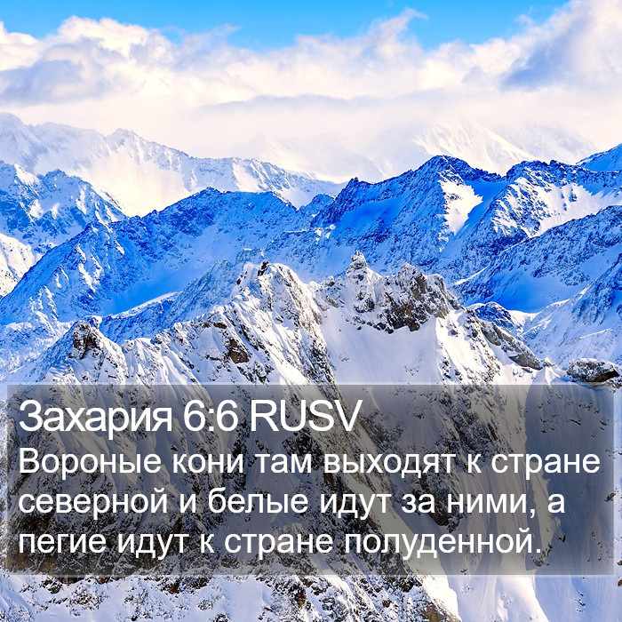 Захария 6:6 RUSV Bible Study