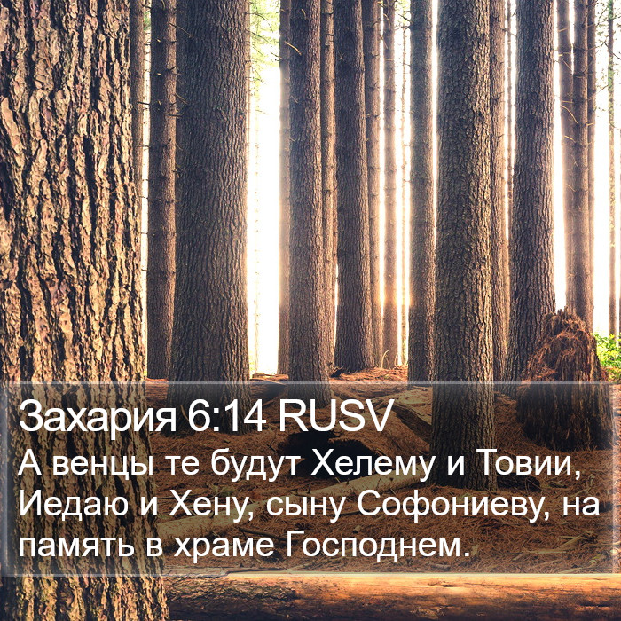 Захария 6:14 RUSV Bible Study