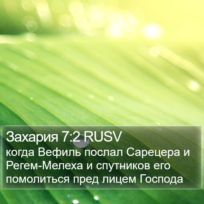 Захария 7:2 RUSV Bible Study