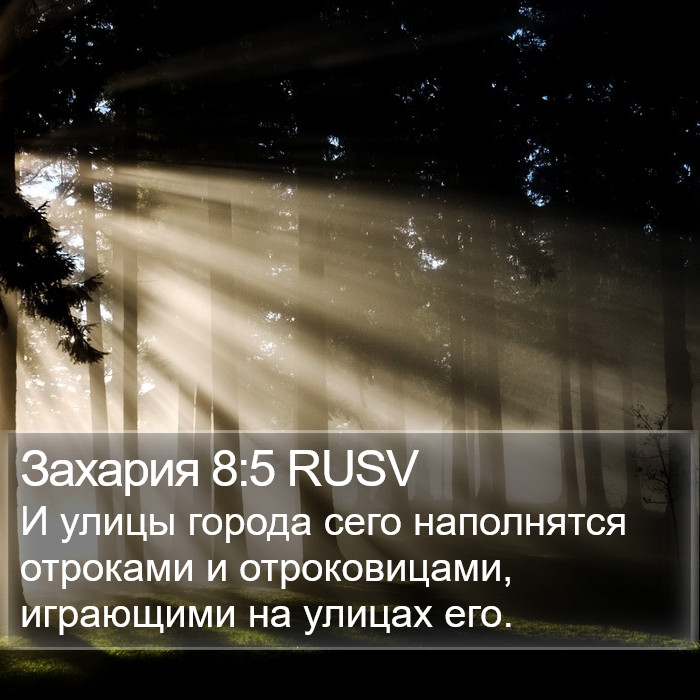 Захария 8:5 RUSV Bible Study