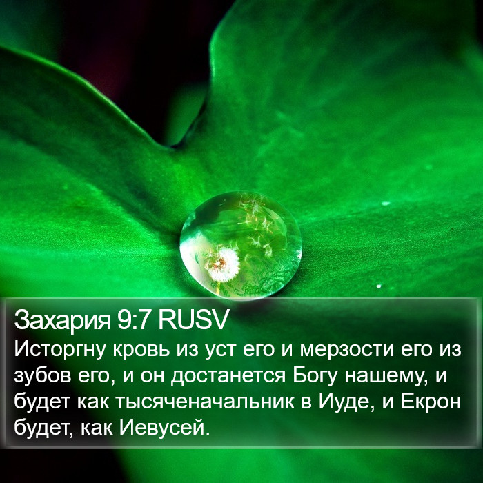 Захария 9:7 RUSV Bible Study