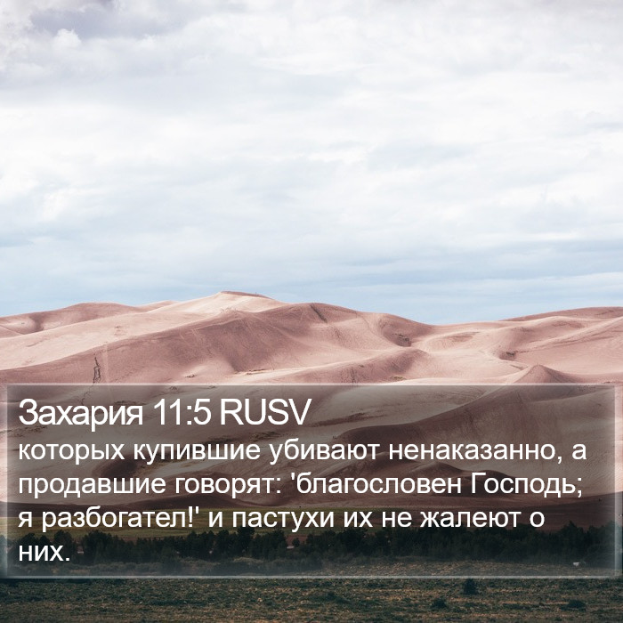 Захария 11:5 RUSV Bible Study