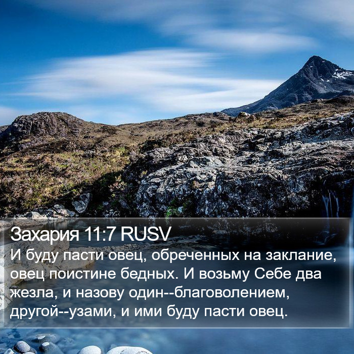 Захария 11:7 RUSV Bible Study