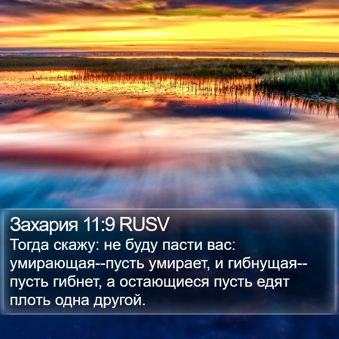 Захария 11:9 RUSV Bible Study