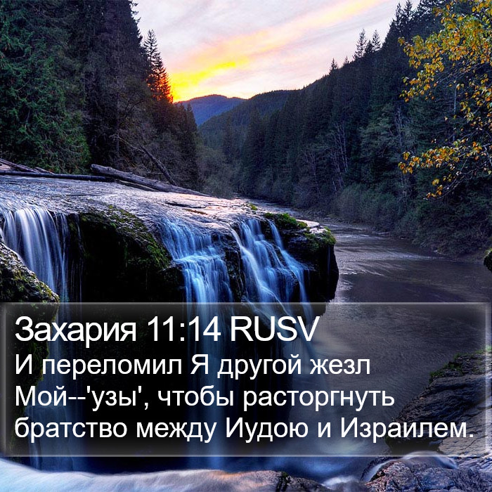 Захария 11:14 RUSV Bible Study