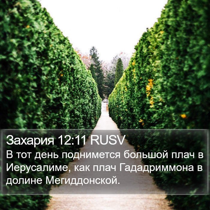 Захария 12:11 RUSV Bible Study