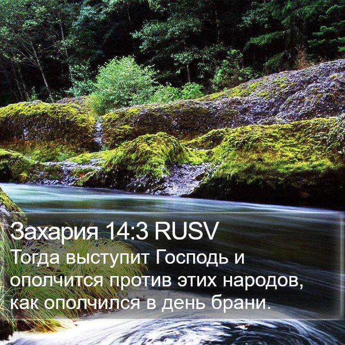 Захария 14:3 RUSV Bible Study