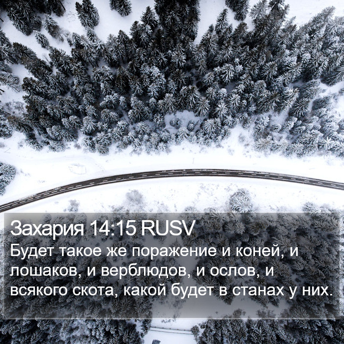 Захария 14:15 RUSV Bible Study