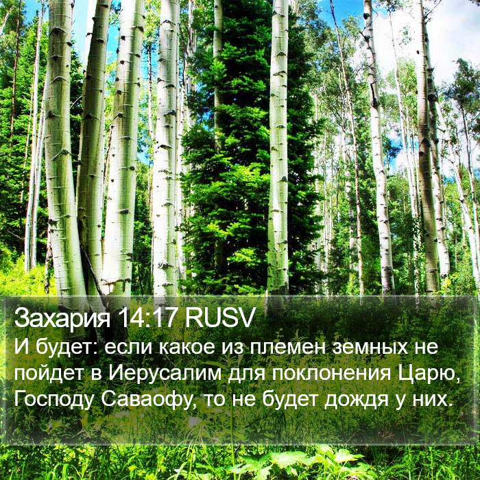 Захария 14:17 RUSV Bible Study