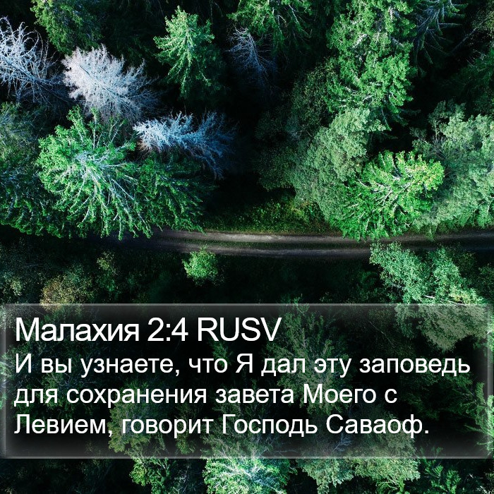 Малахия 2:4 RUSV Bible Study