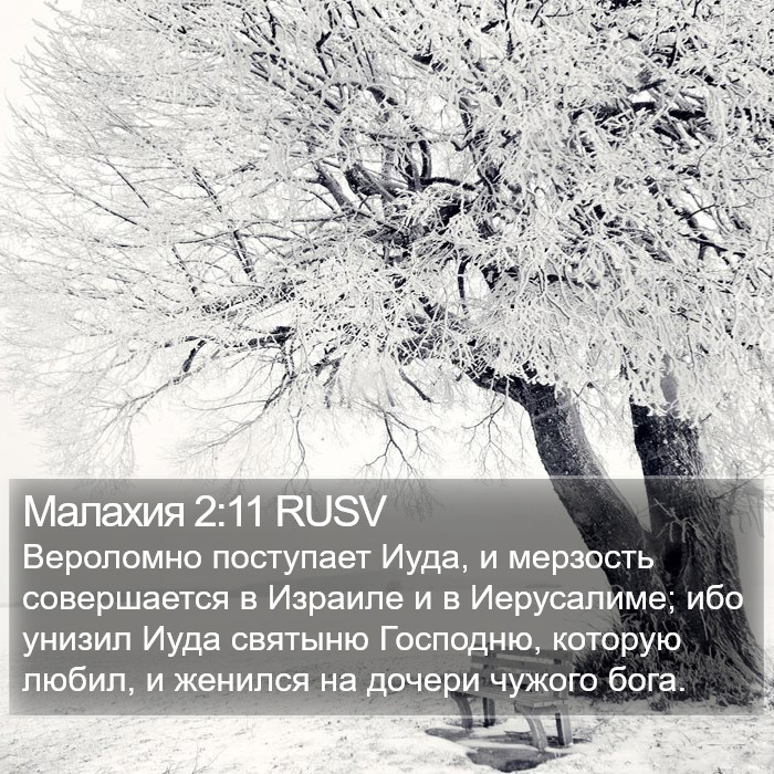 Малахия 2:11 RUSV Bible Study