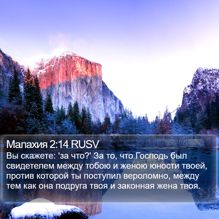 Малахия 2:14 RUSV Bible Study