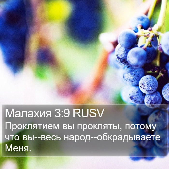 Малахия 3:9 RUSV Bible Study