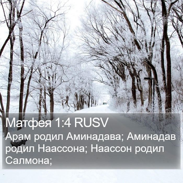 Матфея 1:4 RUSV Bible Study