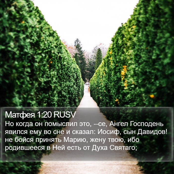 Матфея 1:20 RUSV Bible Study