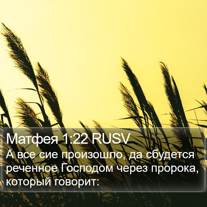 Матфея 1:22 RUSV Bible Study