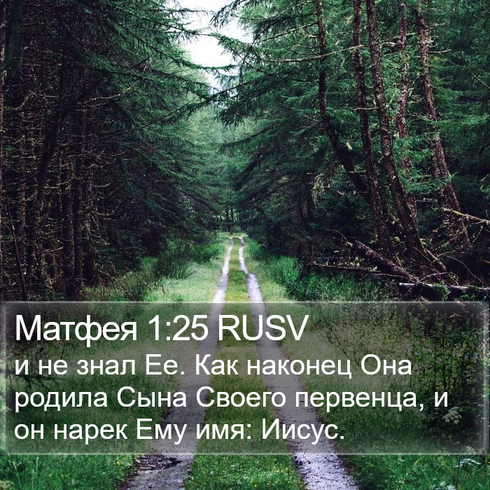 Матфея 1:25 RUSV Bible Study