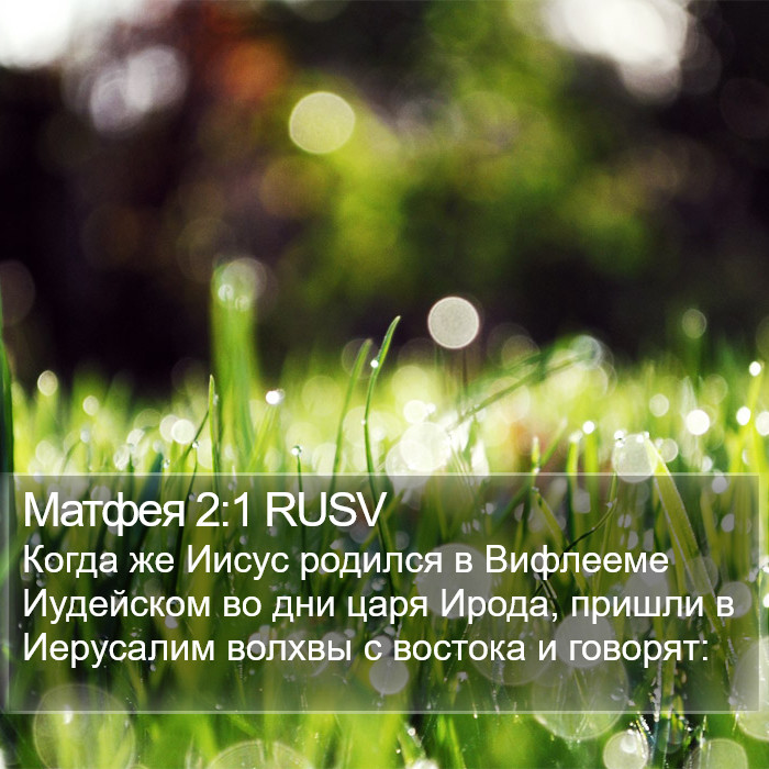 Матфея 2:1 RUSV Bible Study