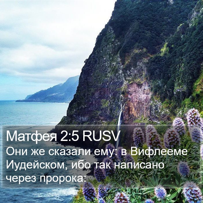 Матфея 2:5 RUSV Bible Study