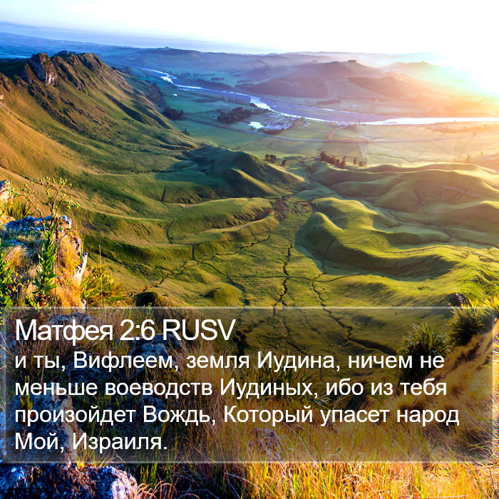 Матфея 2:6 RUSV Bible Study