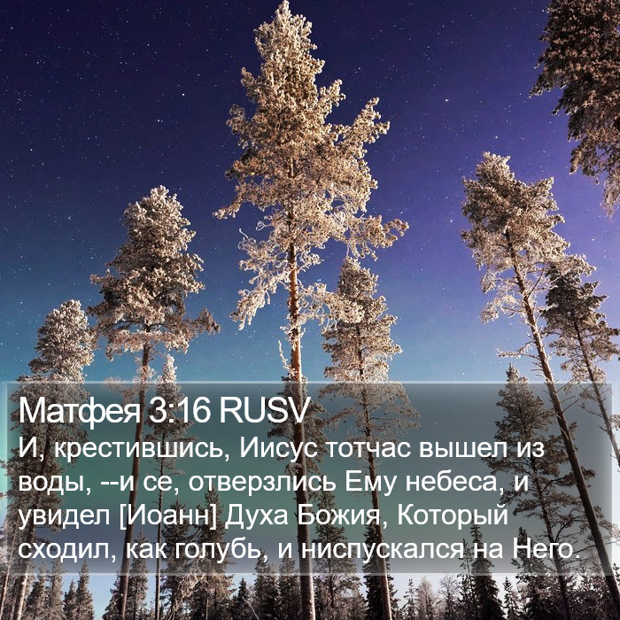 Матфея 3:16 RUSV Bible Study