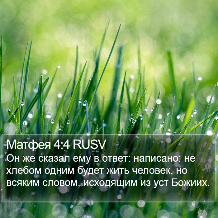 Матфея 4:4 RUSV Bible Study